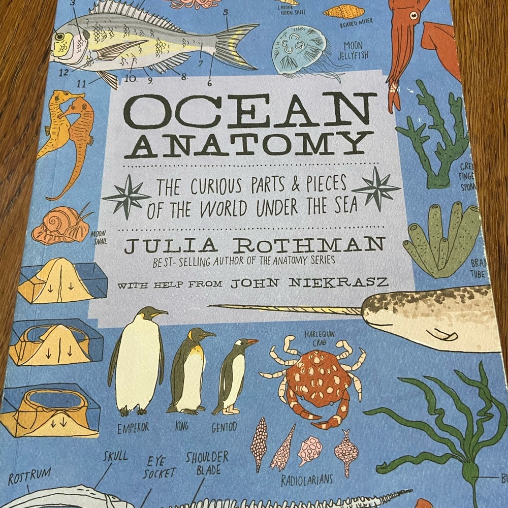Ocean Anatomy Book by Julia Rothman